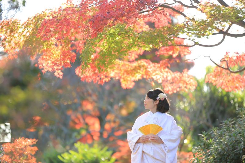 紅葉と白無垢！
