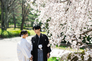 2026年桜ロケ♪満開のしだれ桜で撮影！