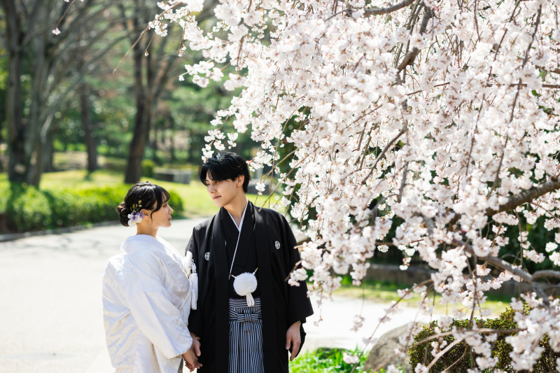 2026年桜ロケ♪満開のしだれ桜で撮影！