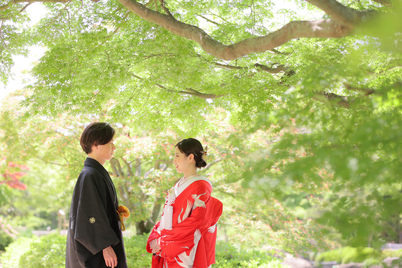 青紅葉に囲まれて