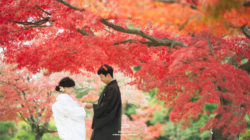 満開の紅葉の下で