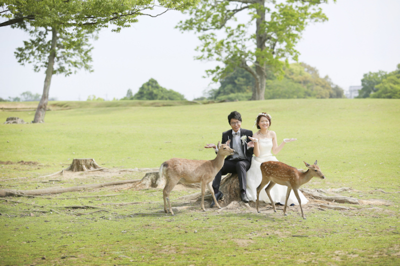 鹿せんべいモウナイヨ〜