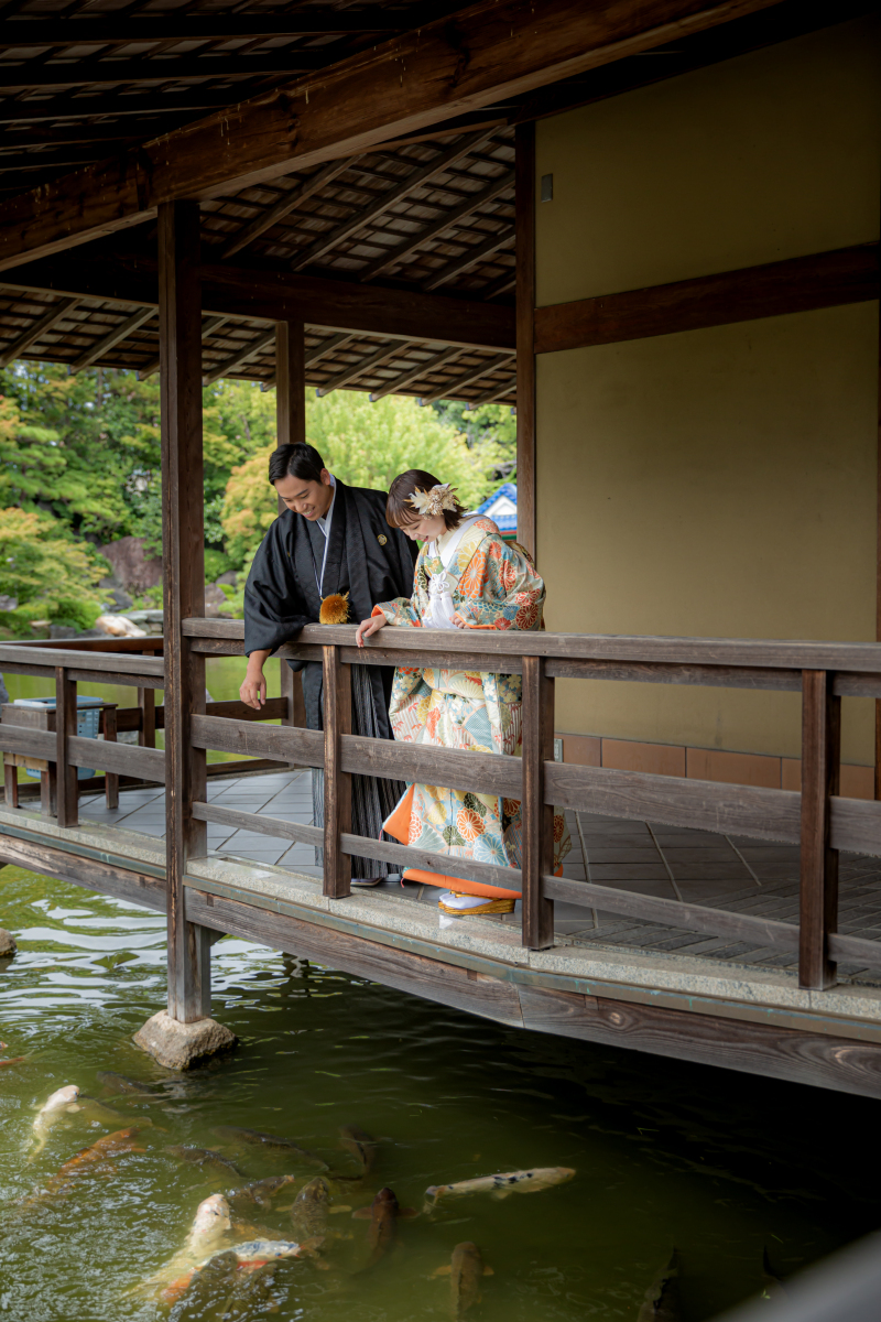 鯉を眺めながら