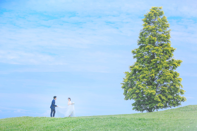 空と大きな木と二人！