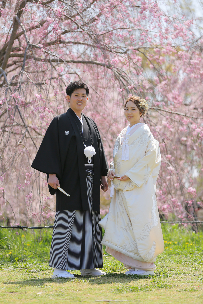 桜のシャワーカーテン!