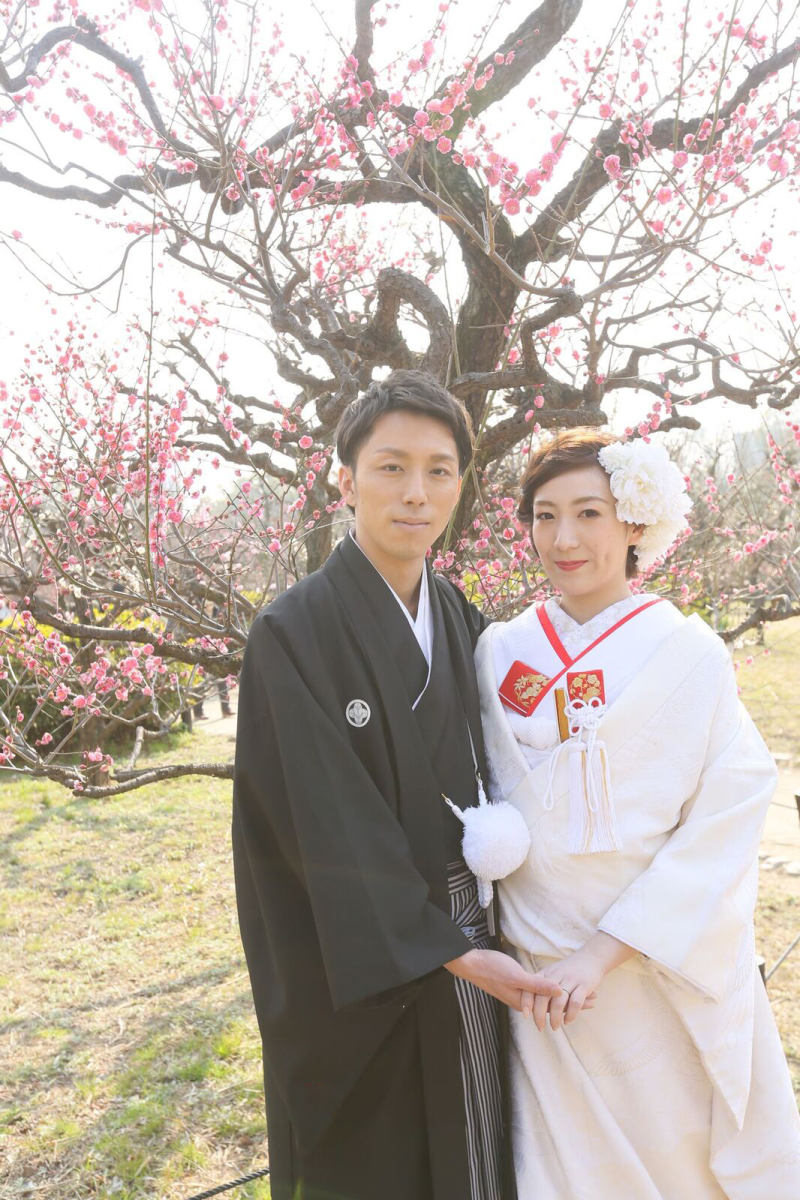 梅が咲いていました♪