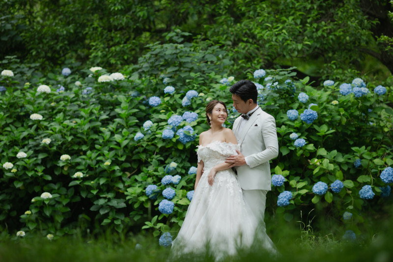 紫陽花ブルー☆ミ