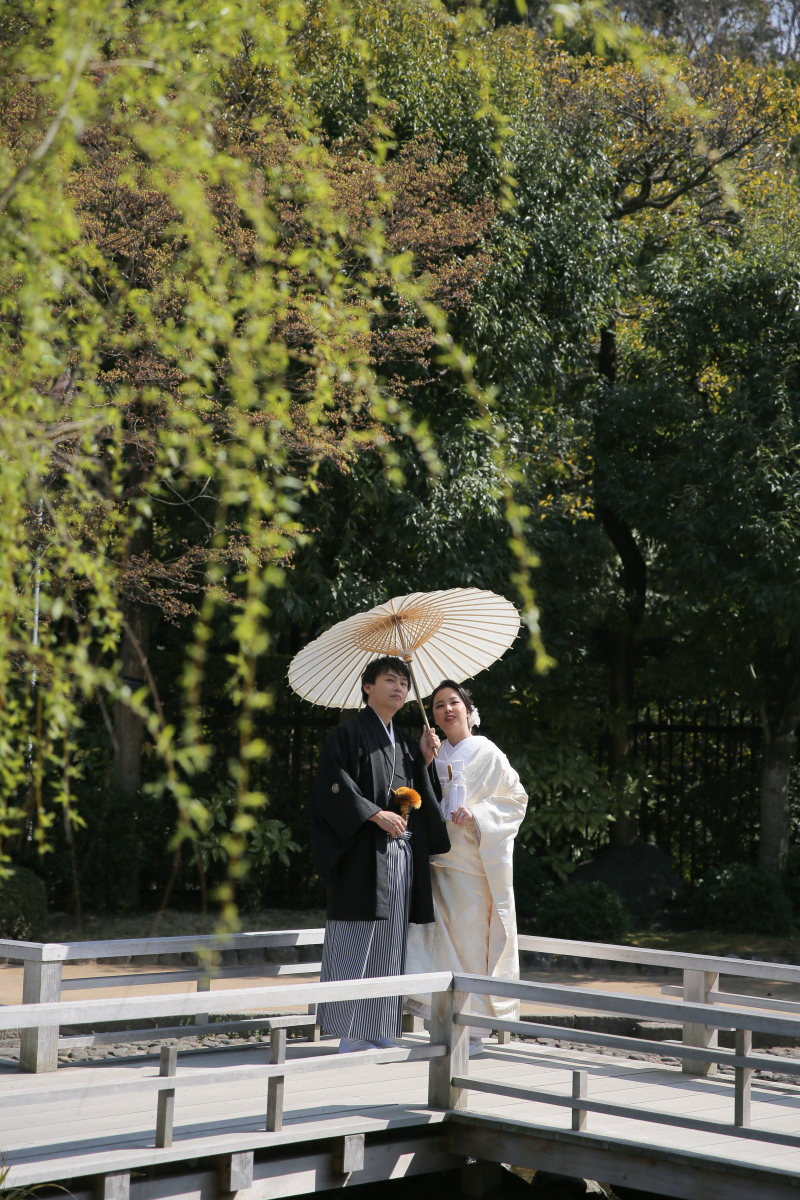 新緑の枝垂れ柳