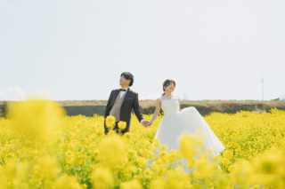 菜の花のお花畑