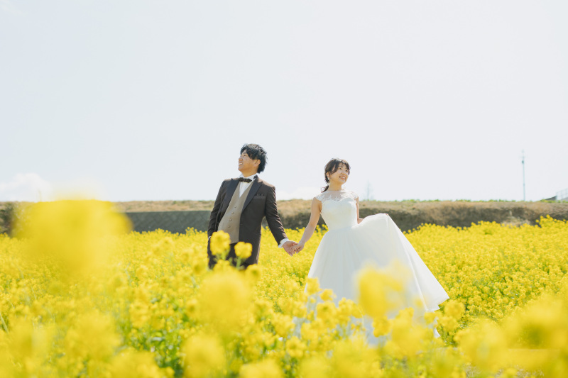 菜の花のお花畑