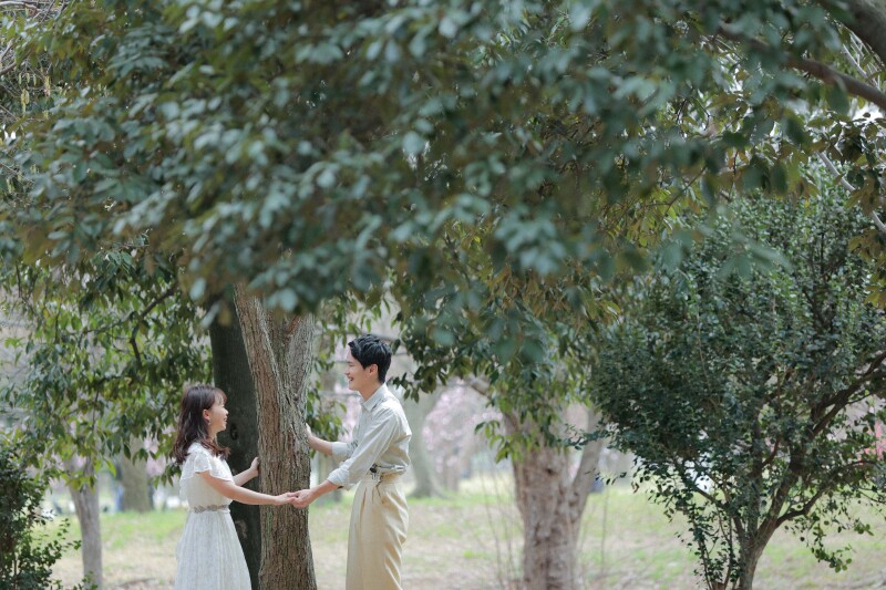 自然豊かな景色