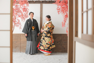 色打掛_屋内庭園スタジオ