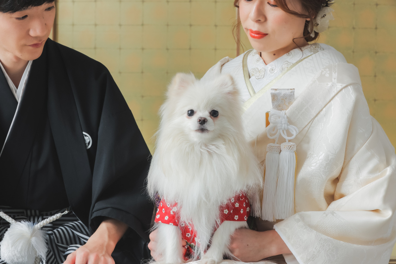 みんな着物姿で撮影スタート!