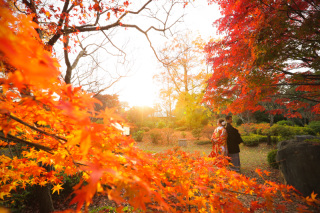 香港からのお客様＊