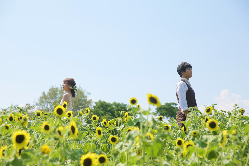 映画のワンシーン