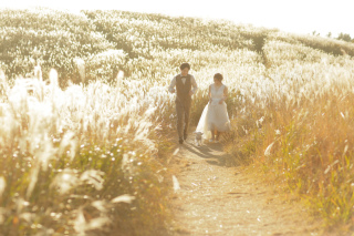 ススキに包まれてin生石高原