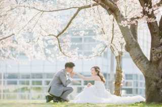 桜満開の鶴見緑地