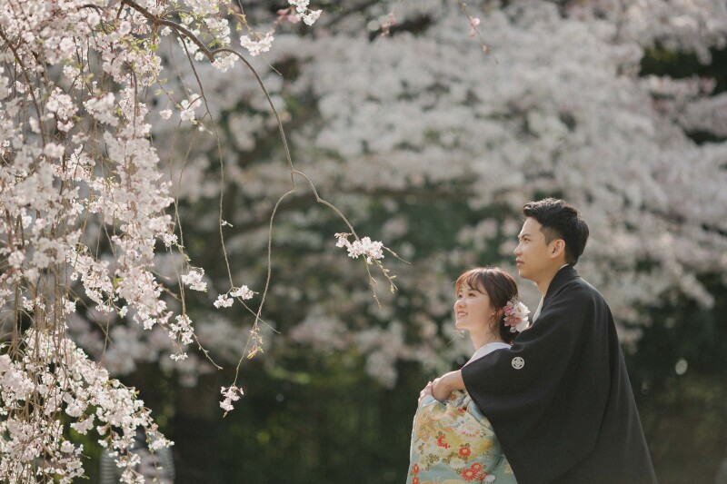 桜がきれいです