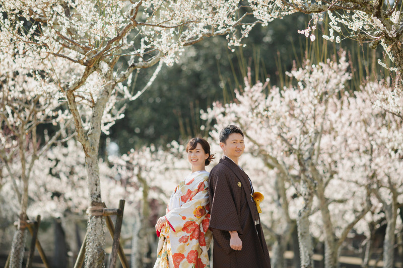 奈良にはたくさんの梅