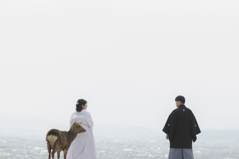 奈良 若草山ロケーション