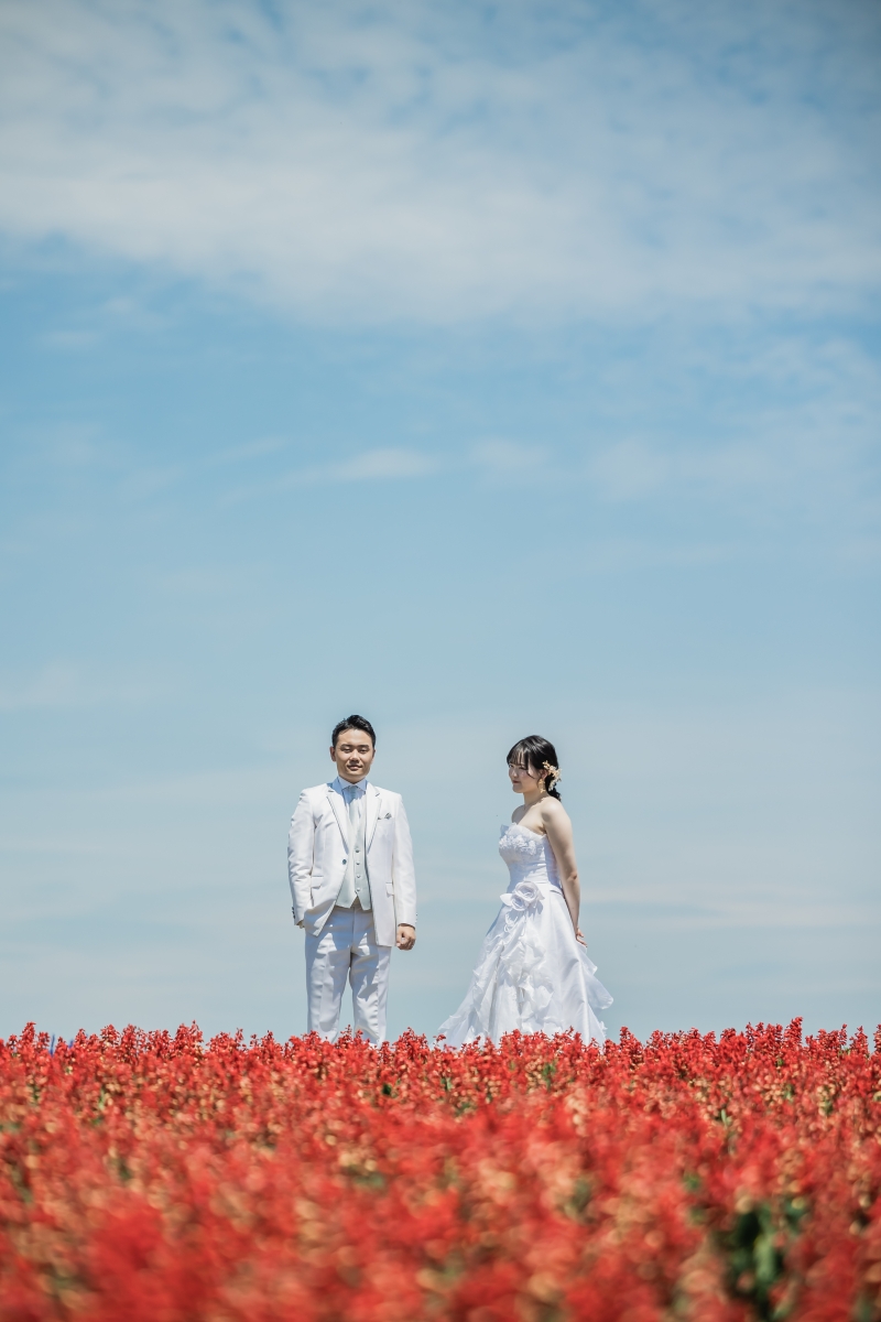 シンプルな雰囲気で