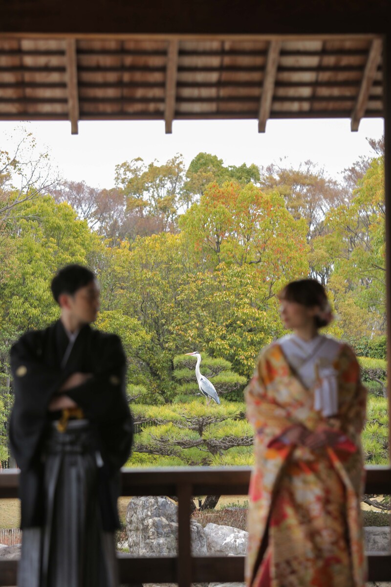 大仙公園和装洋装ロケーション