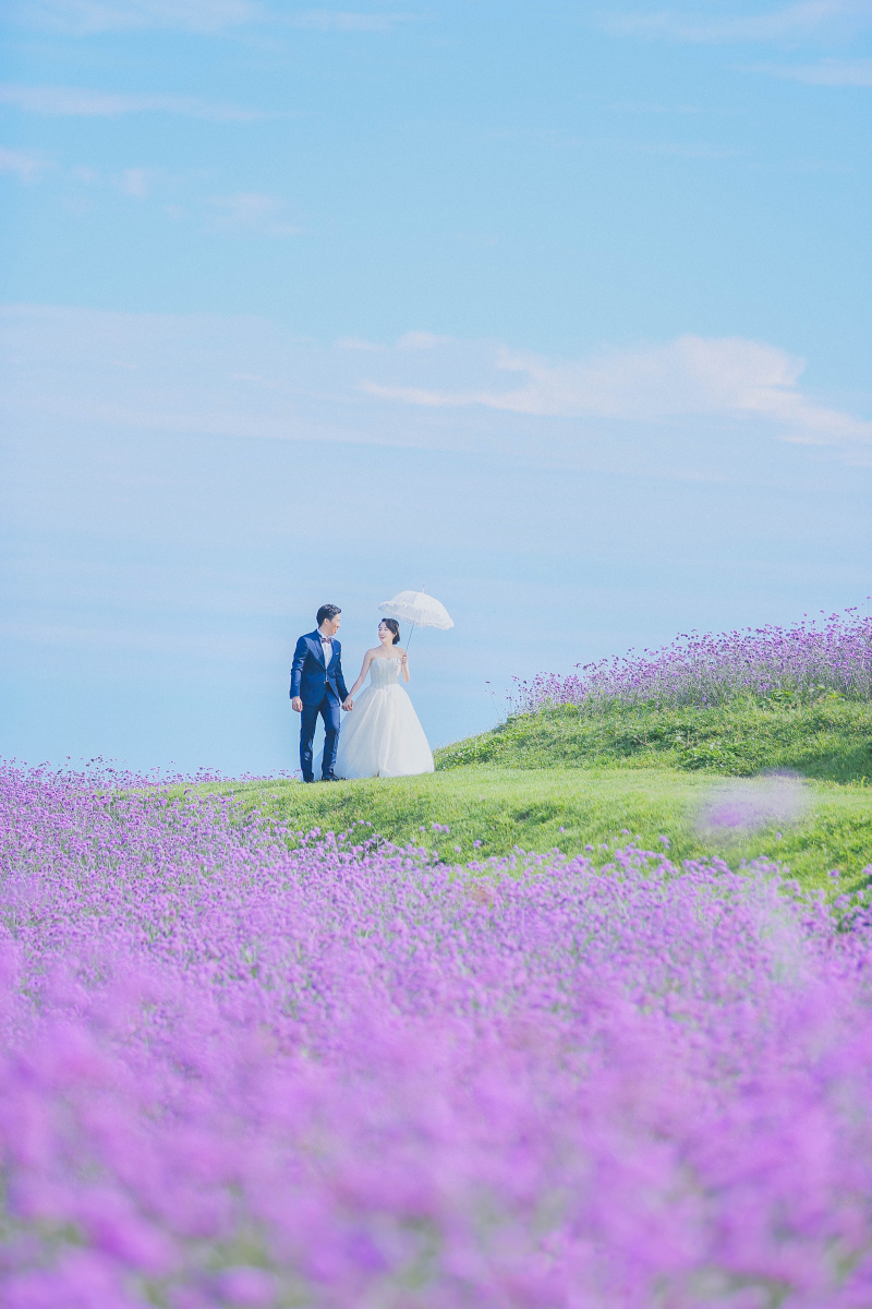 お花畑をお散歩☆