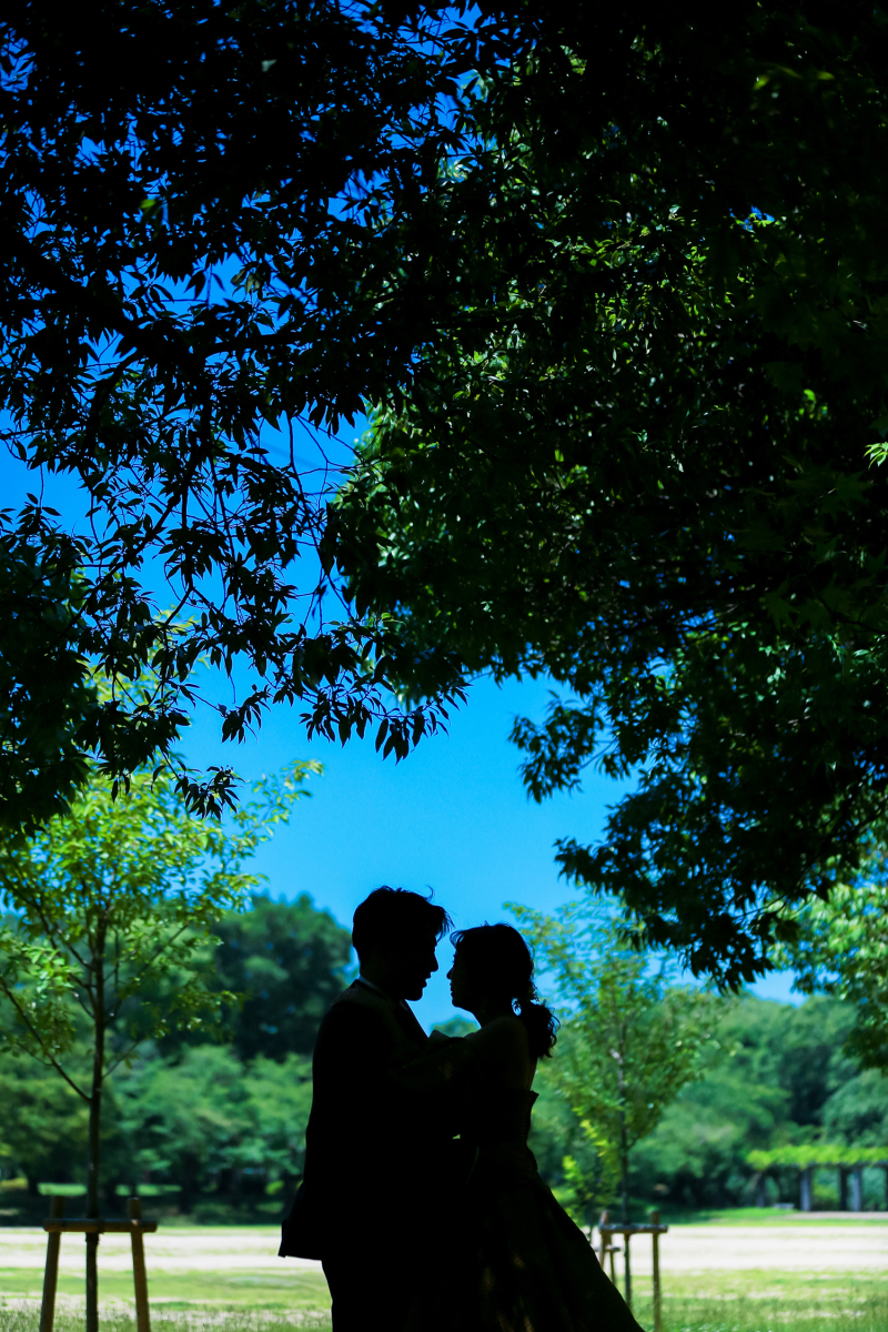 青空のシルエット。