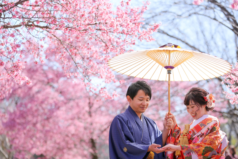 和装で大人気の傘ポーズ♪