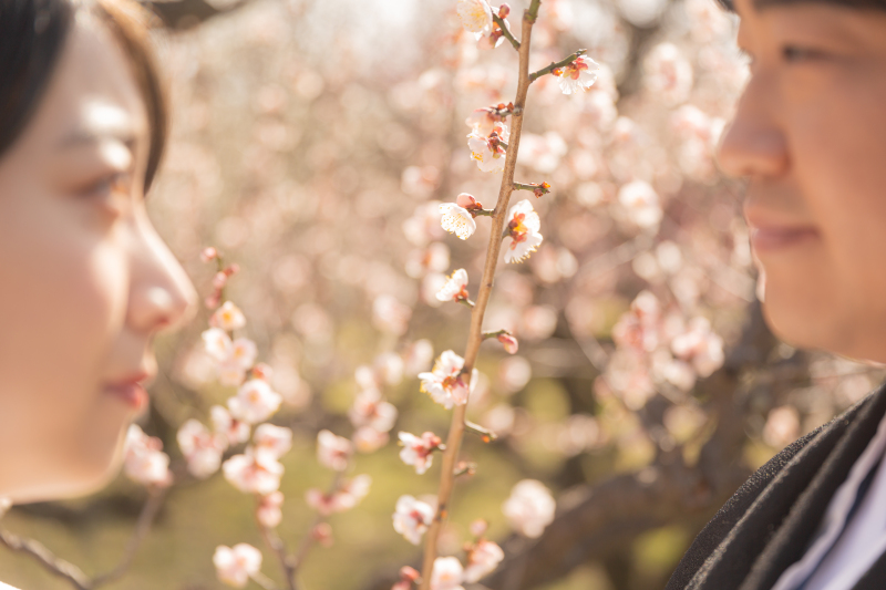 ぼかしをいれてみたり