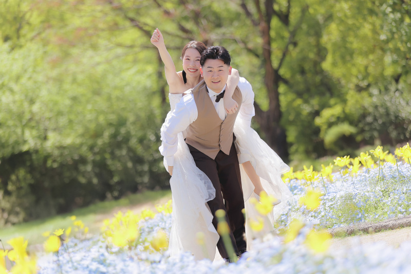 風車の前に広がるお花畑