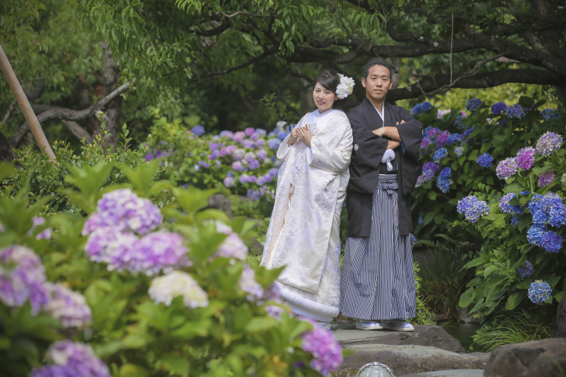 あじさい満開☆