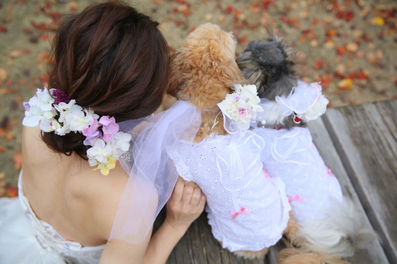 わんちゃんも一緒に撮影！