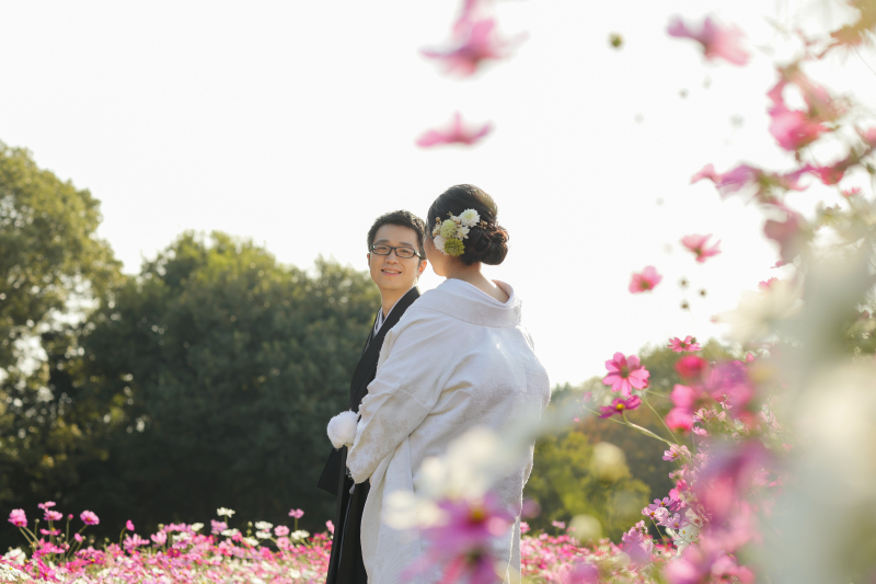 コスモスに囲まれて