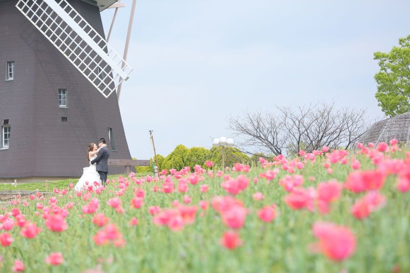 チューリップ満開！