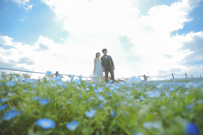 ネモフィラ撮影!