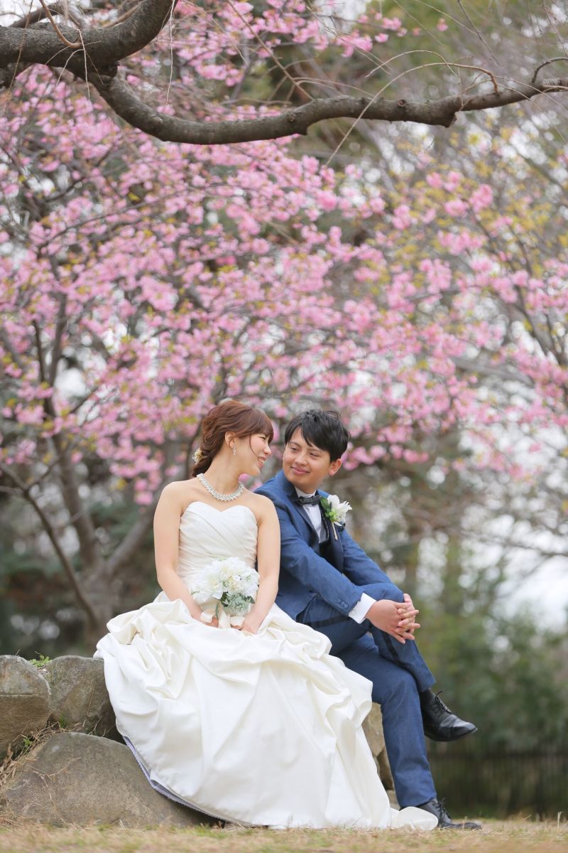 早咲きの桜が！