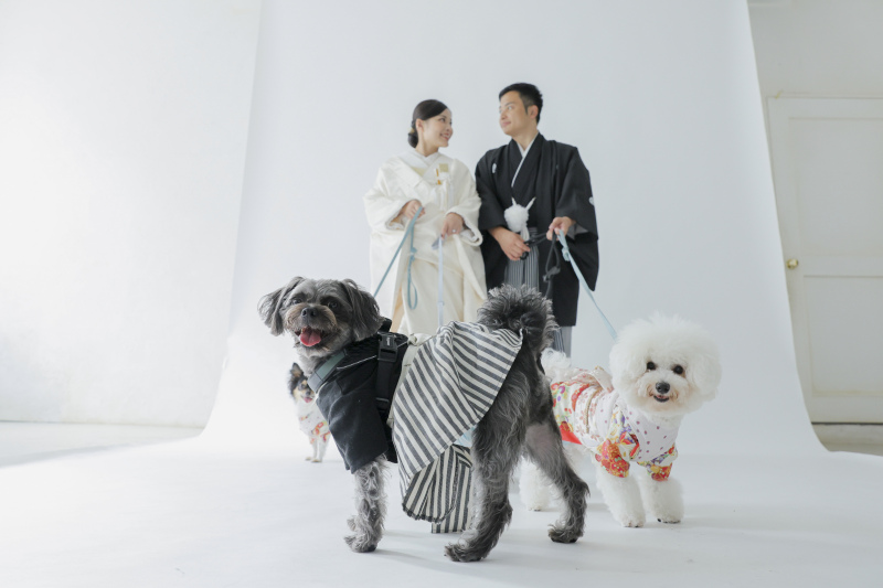 お揃いの衣装で