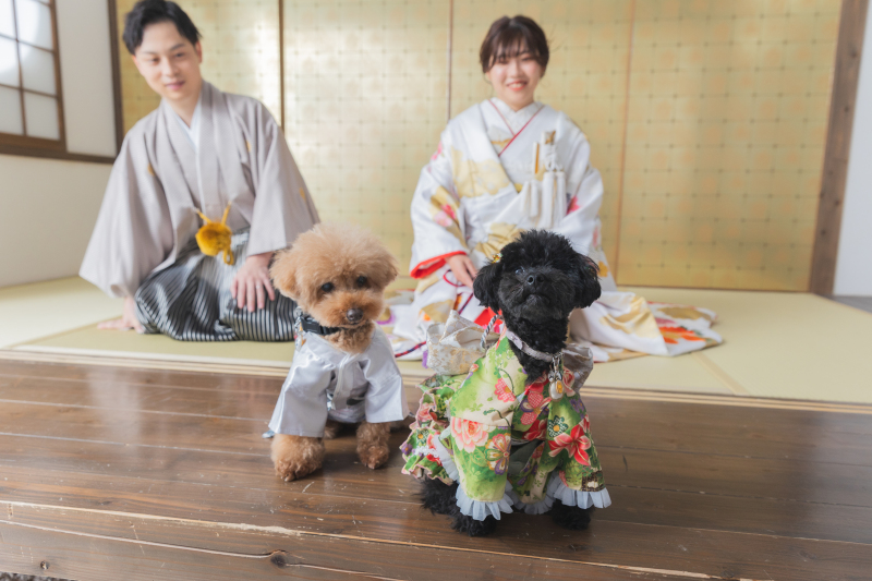 ワンちゃんと一緒に!