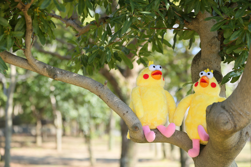 楽しい撮影でした♡