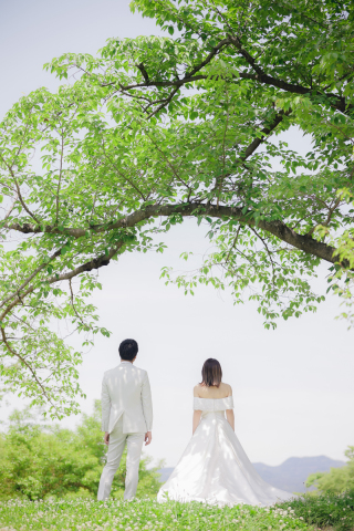 新緑ロケーション