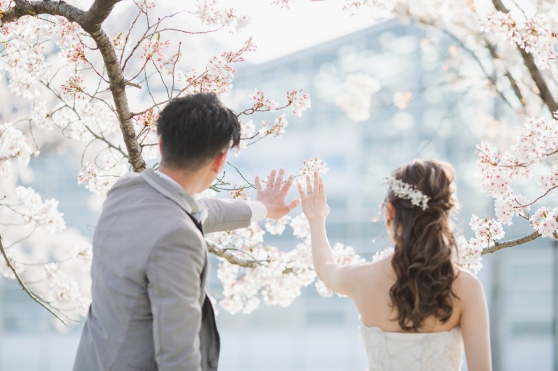 大切な指輪を桜とともに