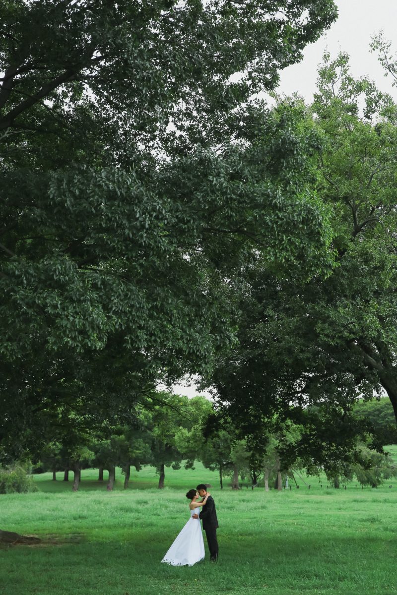 壮大な世界観でまるで別世界!