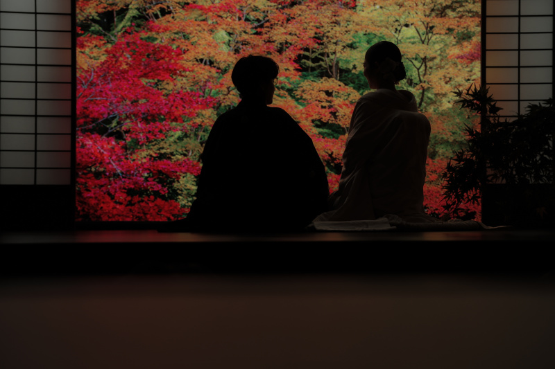 紅葉を眺めながら談笑するお二人
