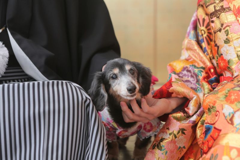 かわいいお洋服でおめかし☆