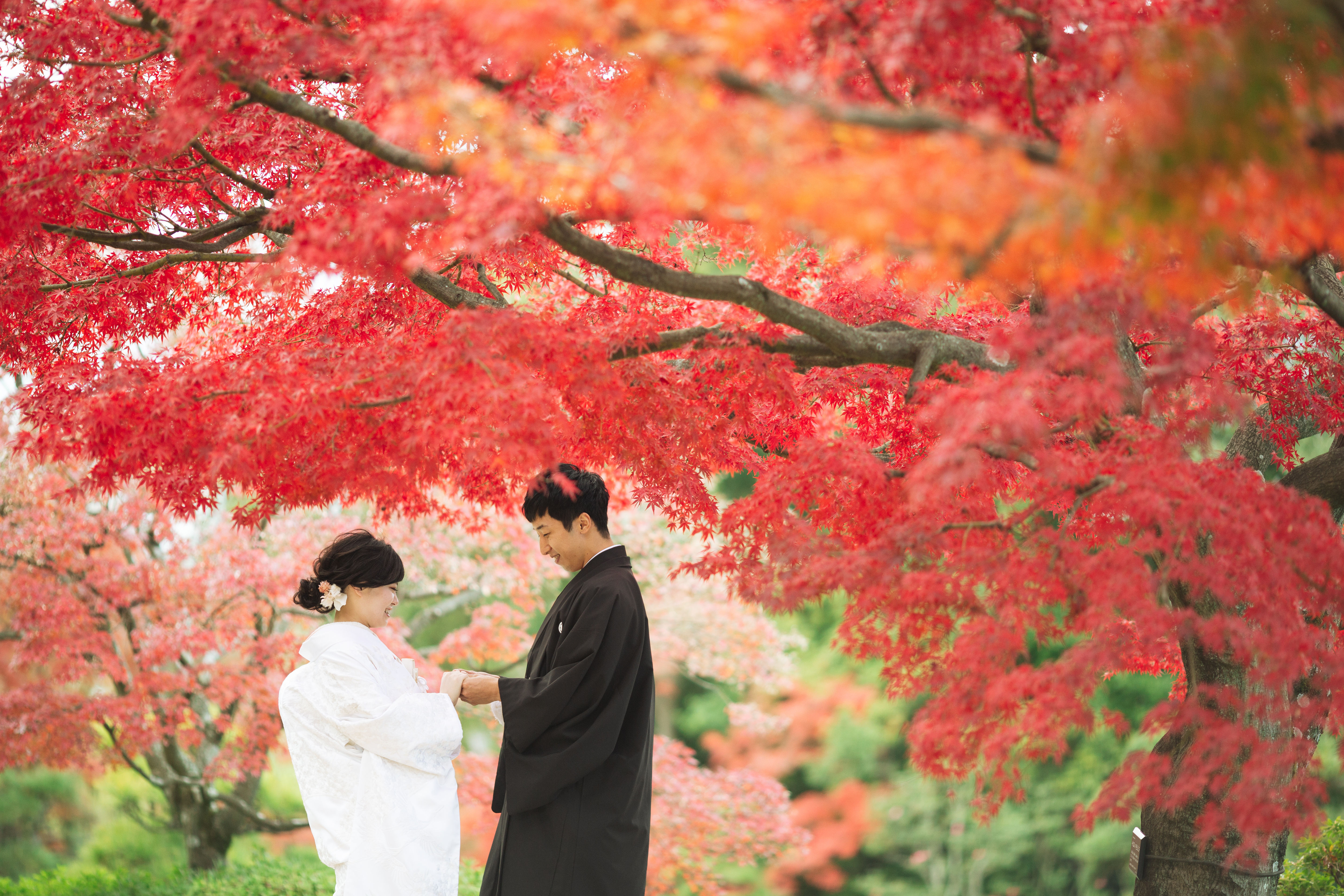 Point1 多彩な撮影シーン