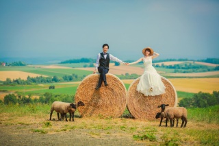 【北海道のお花畑＋動物と一緒に牧場フォト】衣装+ヘアメイク+アクセサリー+ブーケ+靴◎写真全データ+アルバム20ページ/美整補正