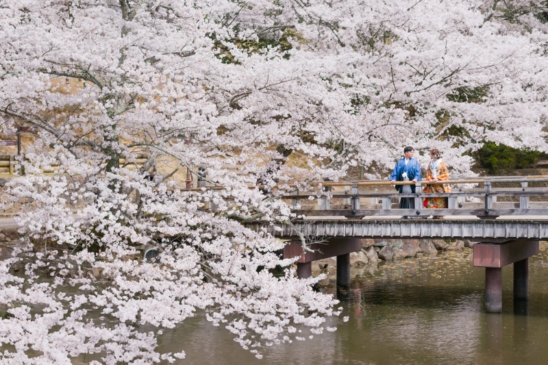 ◇奈良エリア【浮見堂ロケーション】衣装+ヘアメイク+髪飾り+草履/写真全データ納品/レタッチ修正