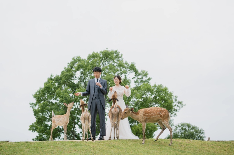 ◇奈良エリア【若草山ロケーション】衣装+ヘアメイク+アクセサリー+ブーケ+ベール/写真全データ納品/レタッチ修正