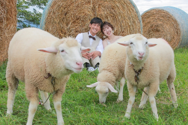 【北海道のお花畑+動物と一緒に牧場フォト】衣装+ヘアメイク+アクセサリー+ブーケ+靴◎写真全データ+アルバム20ページ/美整補正
